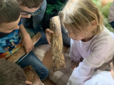 K1600_IMG_3891.jpg